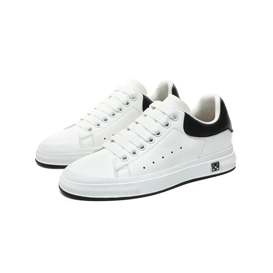 PREDRA Series 2 | Boost your height (+3'')