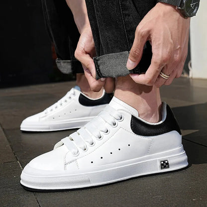 PREDRA Series 2 | Boost your height (+3'')